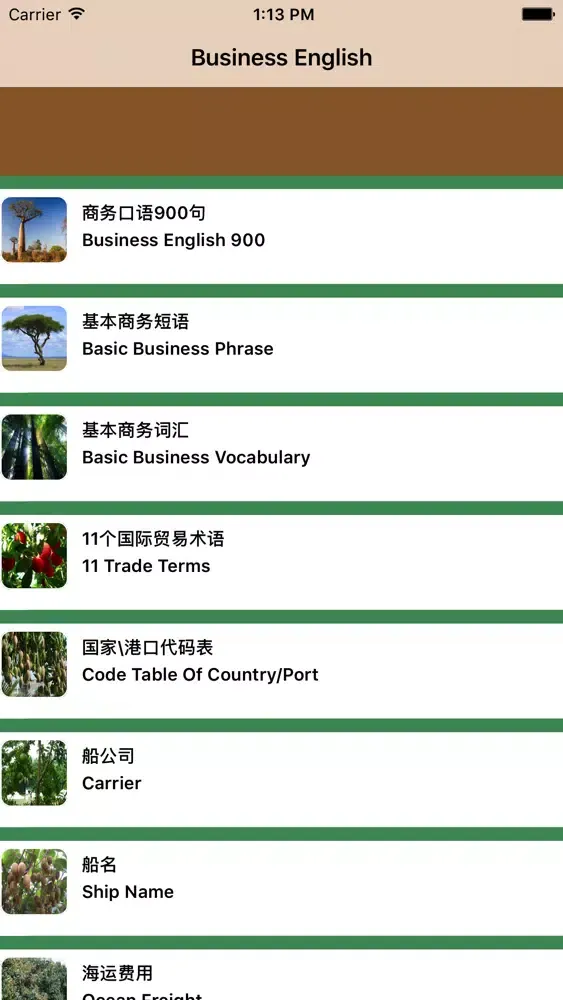 Zrzuty ekranu 商务英语知识