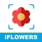 iFlowers - Plant identifier