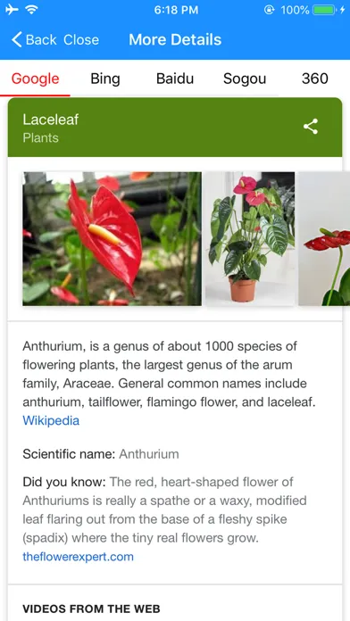 iFlowers - Plant identifier应用截图