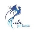 Ela Pırlanta Ela Pırlanta