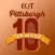EQT Pittsburgh 10 Miler