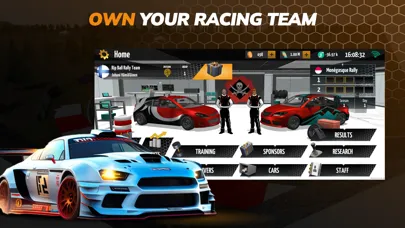 Скриншоты Live Rally Manager