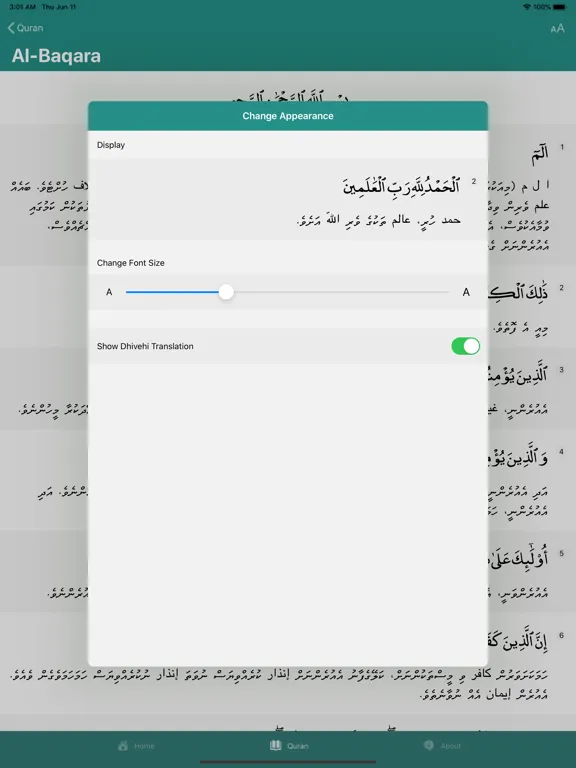 Tangkapan layar Namaadhu Gadi iPad 