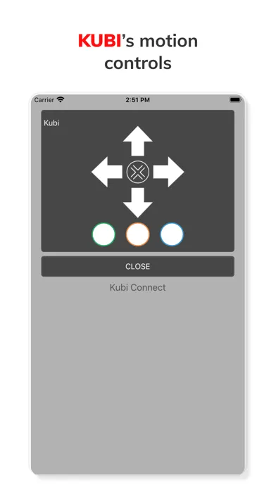 Captures d'écran de Kubi Connect