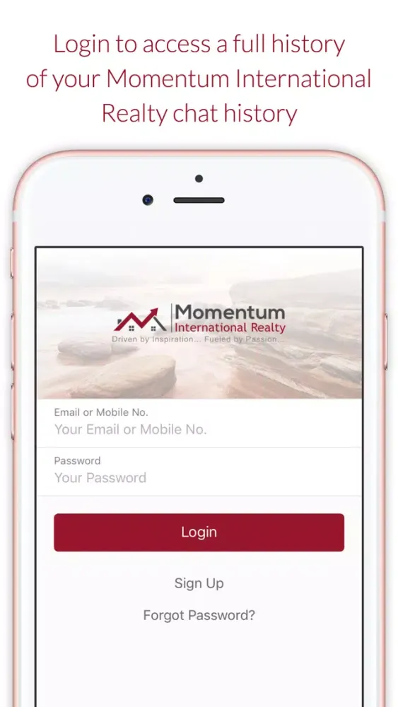 Tangkapan layar Momentum International Realty