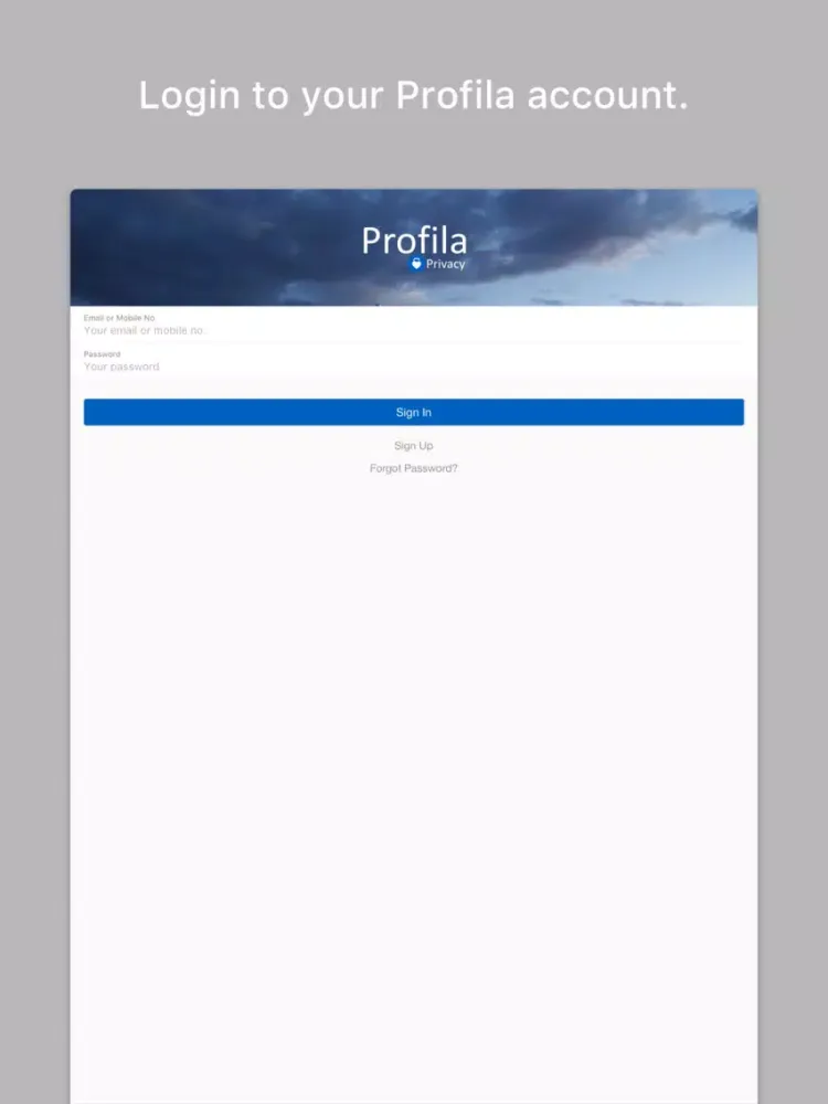 Скриншоты Profila iPad 