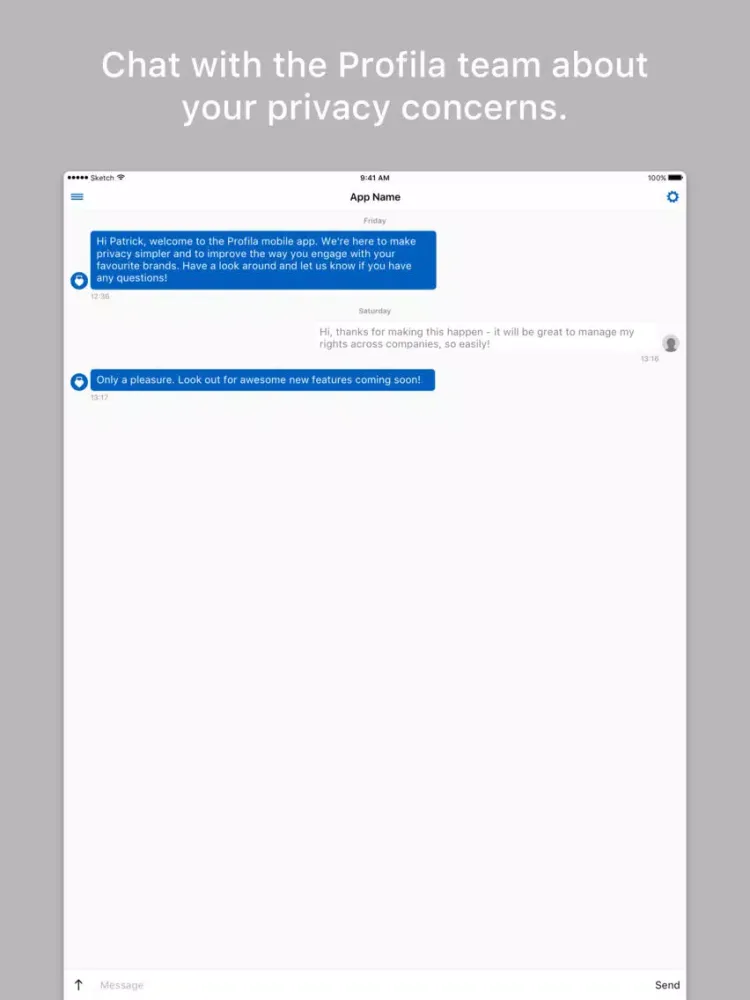Скриншоты Profila iPad 