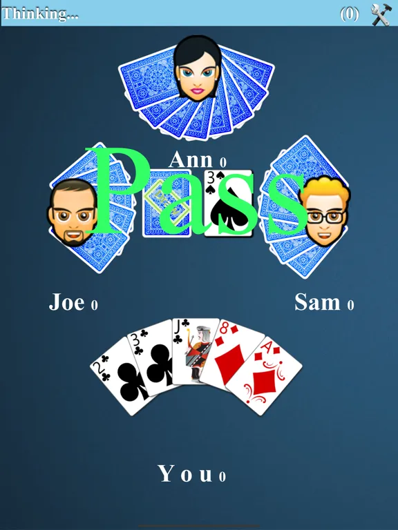 Crazy Eights Card Game iPad 应用截图