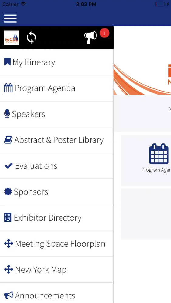 ภาพหน้าจอของ iwCLL 2017