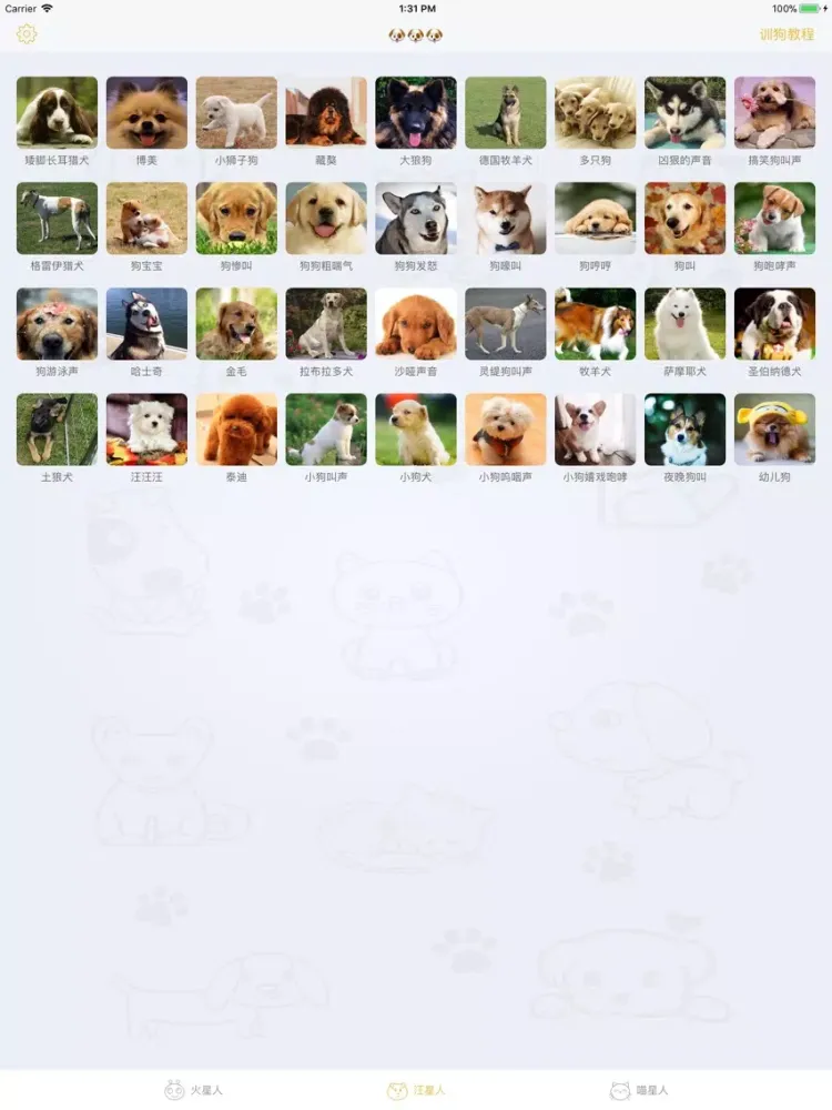 Zrzuty ekranu MyPet-Have fun with my pet iPad 