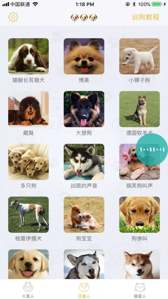 Zrzuty ekranu MyPet-Have fun with my pet