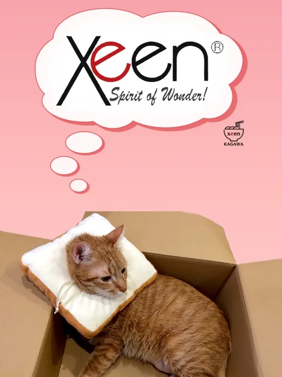Cats n' Boxes 2 iPad 應用截圖