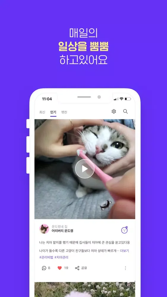 تصاویر 아임펫뿜뿜 - 반려동물 시점의 재미있는 SNS