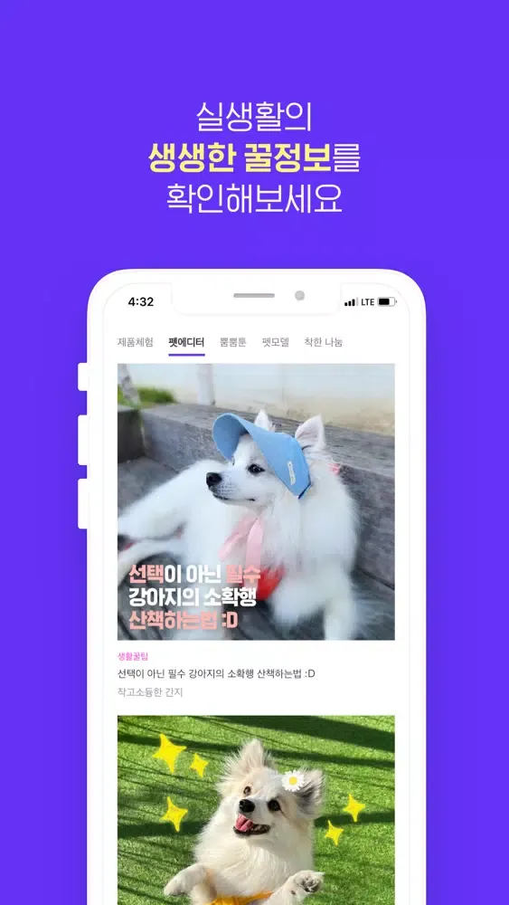 تصاویر 아임펫뿜뿜 - 반려동물 시점의 재미있는 SNS