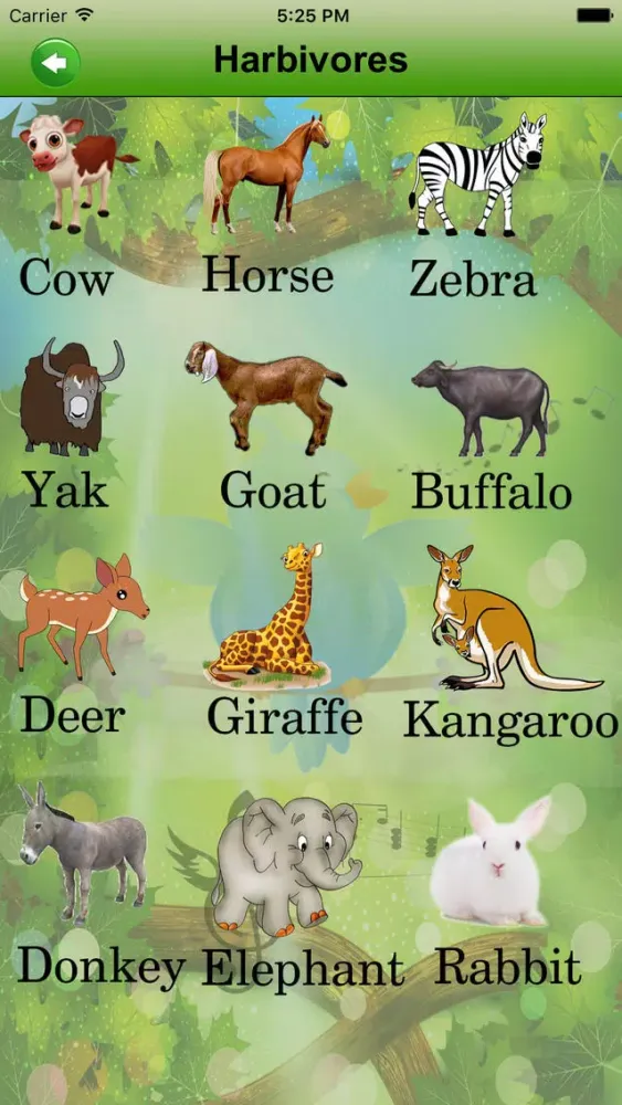 Animal&Sound স্ক্রিনশট