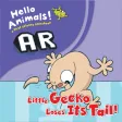 Little Gecko Loses Its Tail AR Little Gecko Loses Its Tail AR