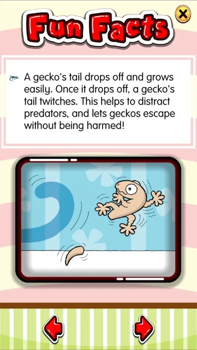 Ảnh chụp màn hình của Little Gecko Loses Its Tail AR