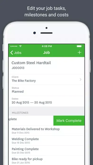 Скриншоты WorkflowMax