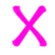 Xh蜜月