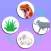 Food Web Merge