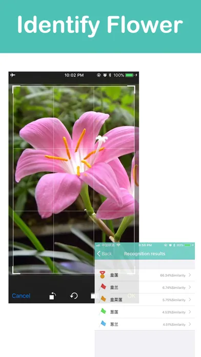Ảnh chụp màn hình của QS Scanner & Photo Translator