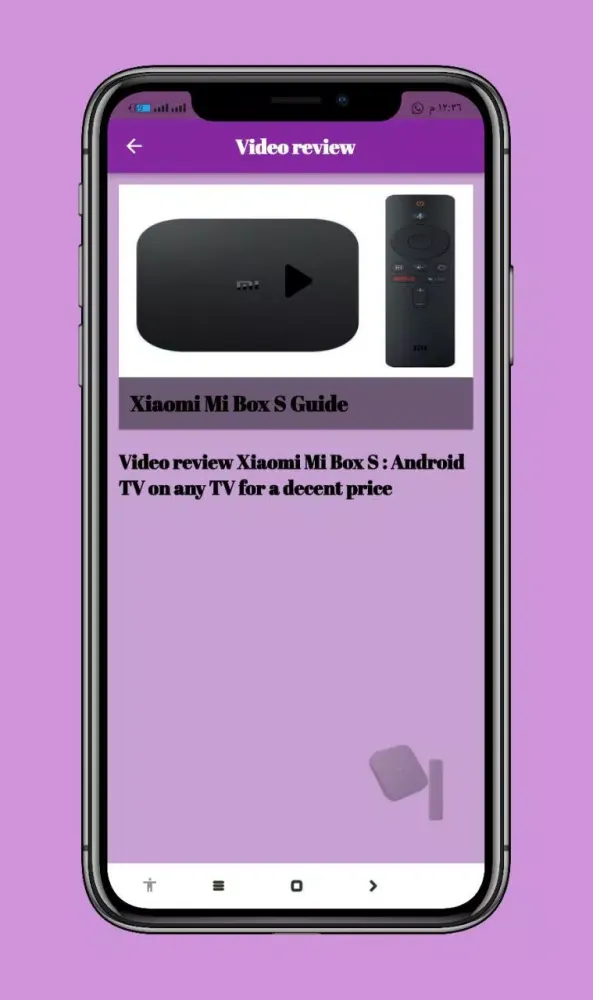 Xiaomi Mi Box S Guide Screenshots