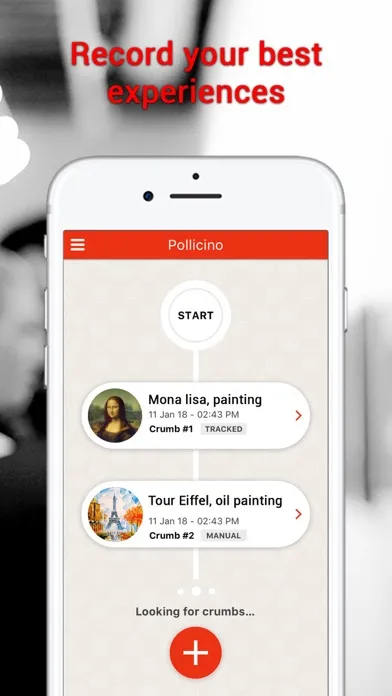 Zrzuty ekranu Pollicino