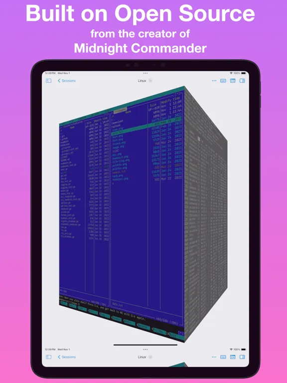 La Terminal - SSH Client iPad  スクリーンショット