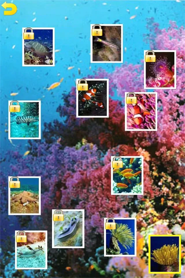 Ocean Puzzle (Worldwide)應用截圖