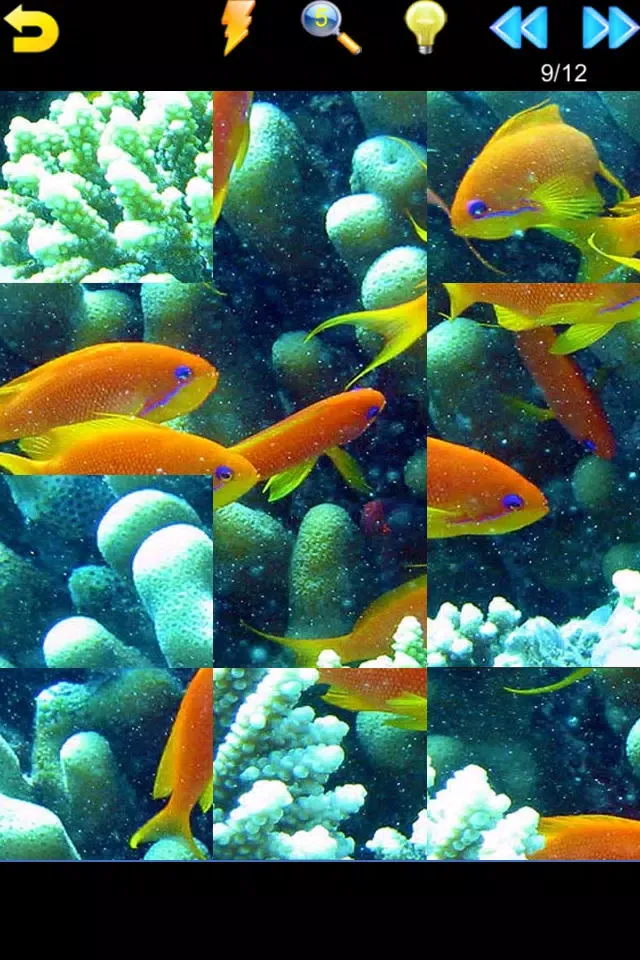 Ocean Puzzle (Worldwide)應用截圖