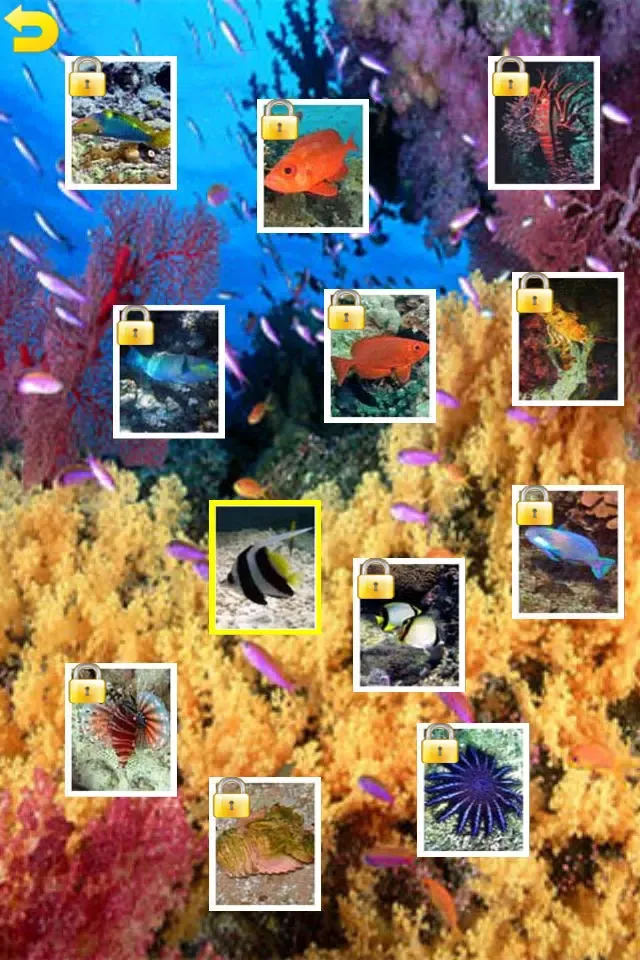 Ocean Puzzle (Worldwide)應用截圖