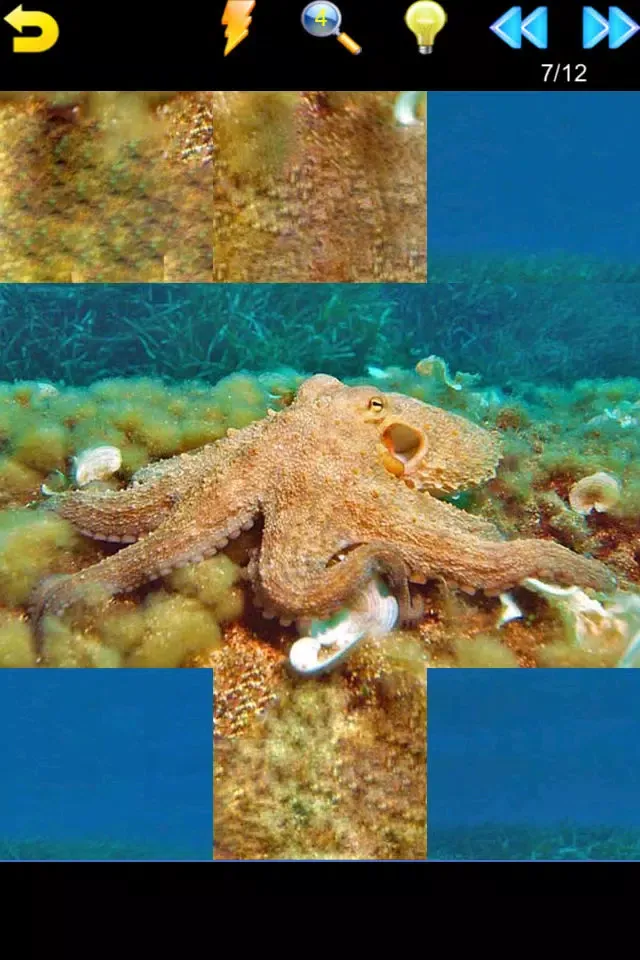 Ocean Puzzle (Worldwide)應用截圖