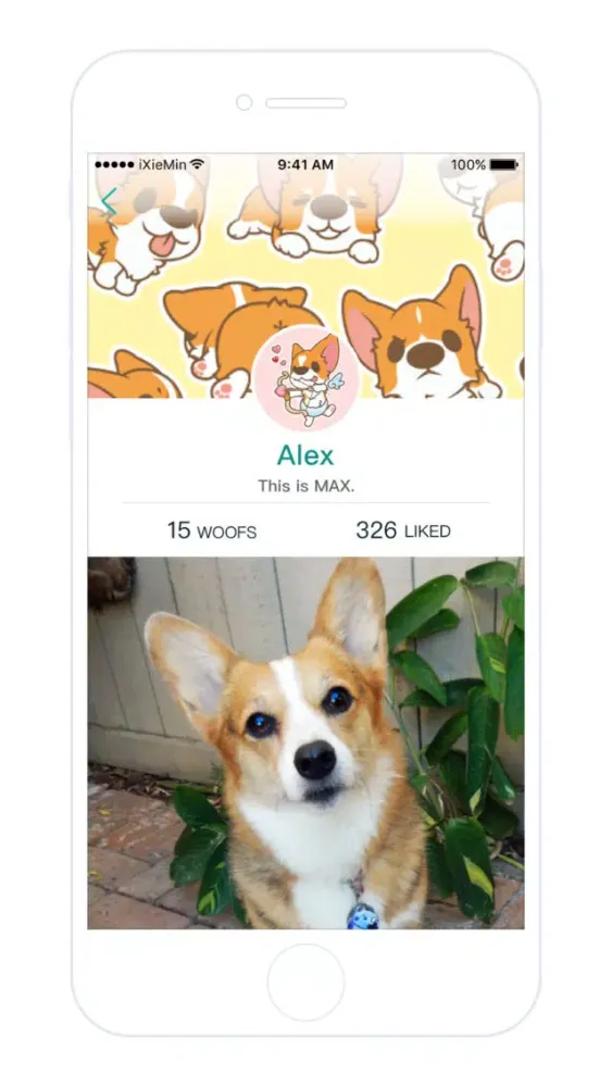 ภาพหน้าจอของ CutePet - Connect you dogs with the world.