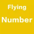 Flying Number