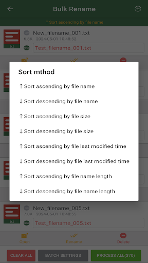 Bulk Rename File Screenshots5