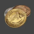 Flip a Coin or Flip some Coin