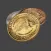 Flip a Coin or Flip some Coin