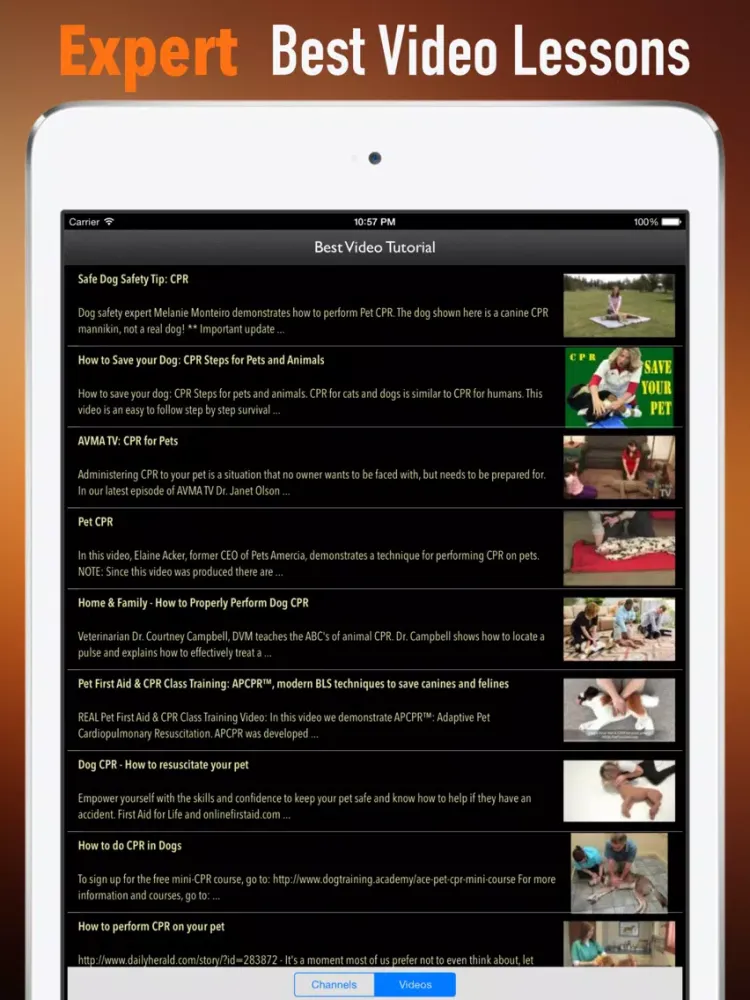 How to Perform CPR on Your Pet:Manual iPad Screenshots