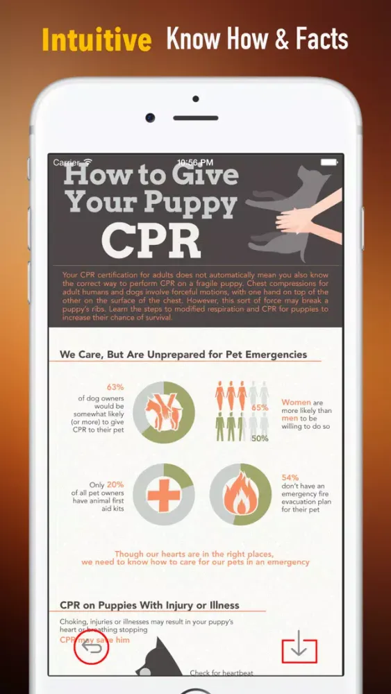 How to Perform CPR on Your Pet:Manual Screenshots