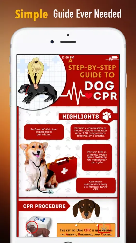 How to Perform CPR on Your Pet:Manual Screenshots