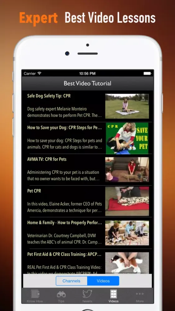 How to Perform CPR on Your Pet:Manual Screenshots
