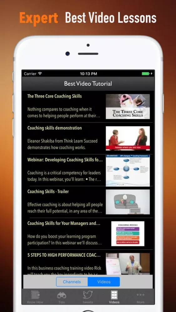 Screenshot di Coaching Skills:Guide and Tips