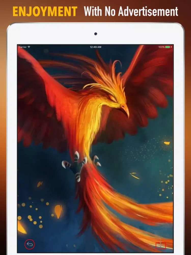 Captures d'écran de Phoenix Bird Wallpapers HD: Quotes and Pictures iPad 
