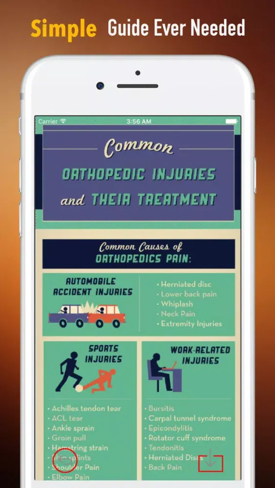 Orthopaedic-Glossary and Tutorial Screenshots