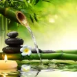 Feng Shui 101-Tips and Tutorial