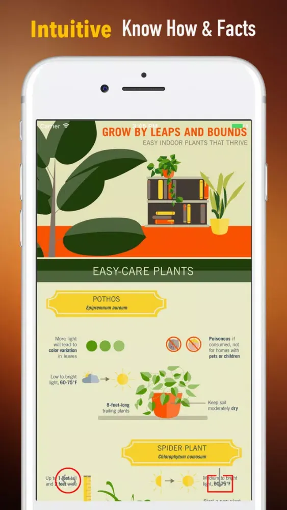 Grow Houseplants Guide-Tips and Beginners Screenshots
