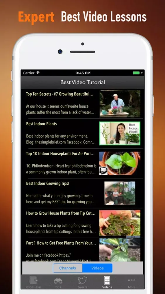 Grow Houseplants Guide-Tips and Beginners Screenshots