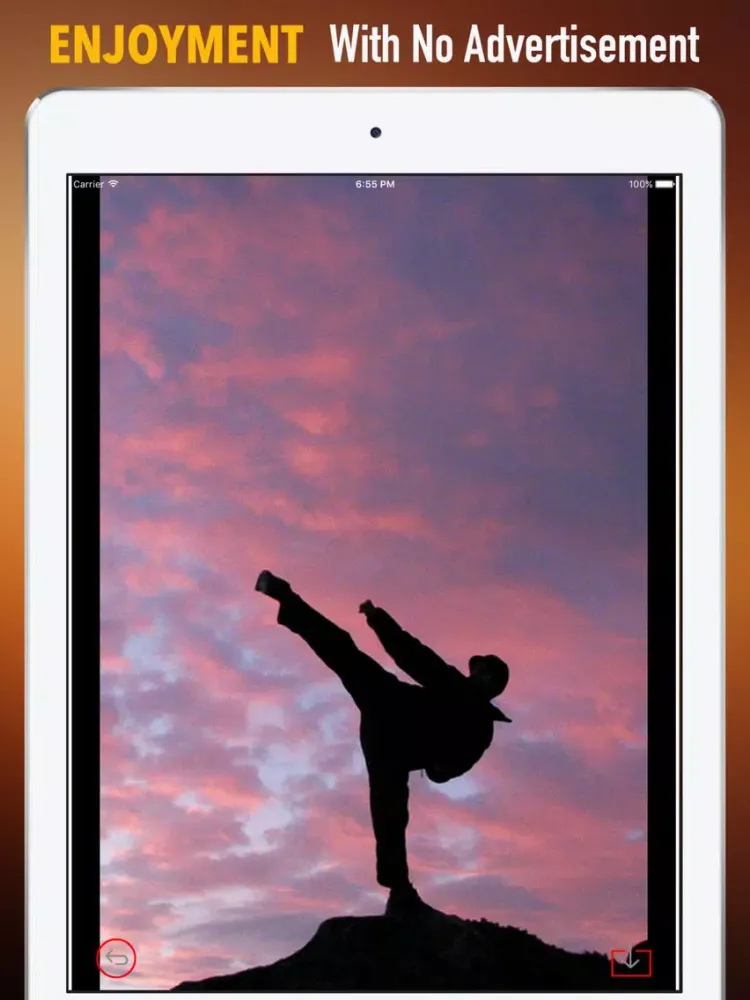 تصاویر Taekwondo Wallpapers HD-Quotes and Art Pictures iPad 