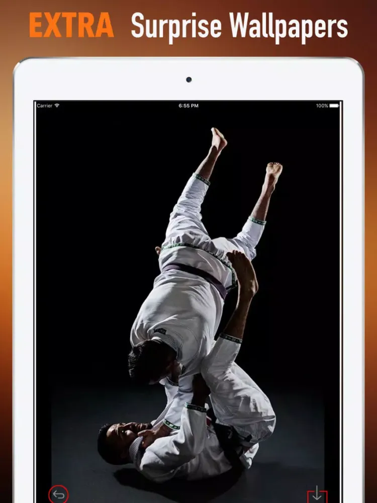 تصاویر Taekwondo Wallpapers HD-Quotes and Art Pictures iPad 