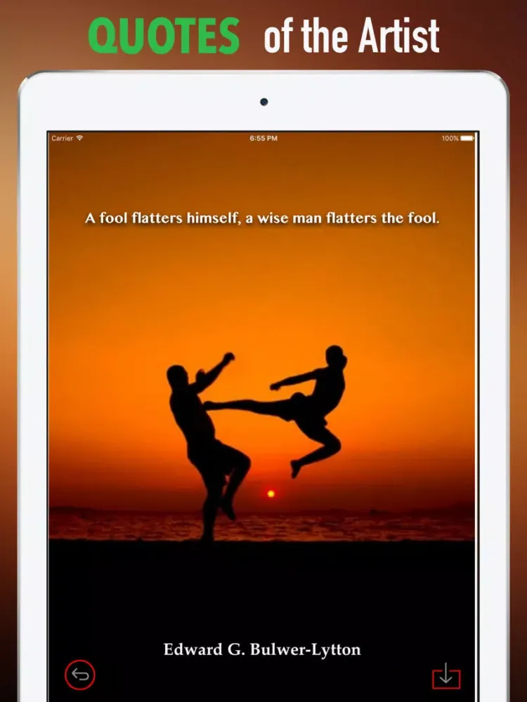 تصاویر Taekwondo Wallpapers HD-Quotes and Art Pictures iPad 